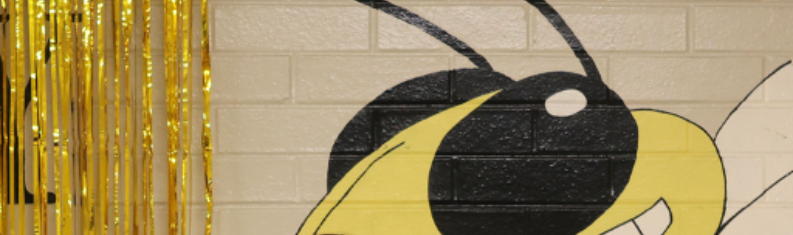 Lookout Valley Middle High Principal McBryar